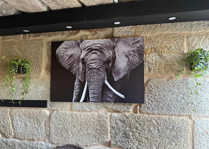 Tatil Evi La Casa Del Horreo